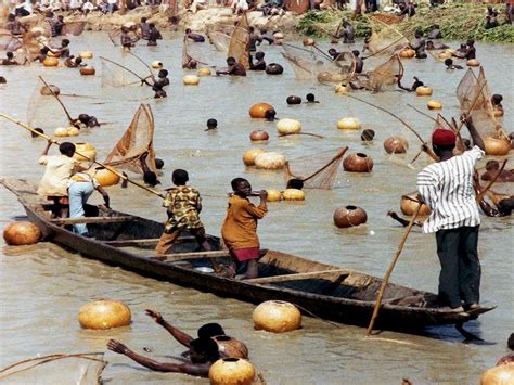 Il Festival di Argungu: Un Celebrazione Annuale Nigeriana delle Tradizioni e dell'Abbondanza del Fiume Sokoto